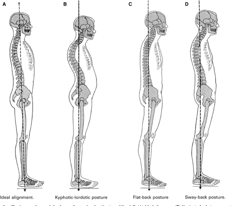 PhysiYoga Posture